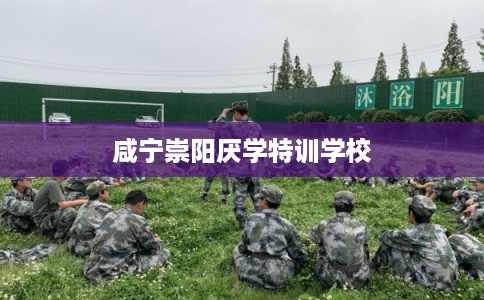咸宁崇阳厌学特训学校