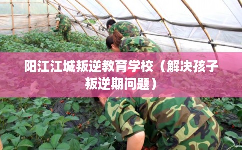 阳江江城叛逆教育学校（解决孩子叛逆期问题）