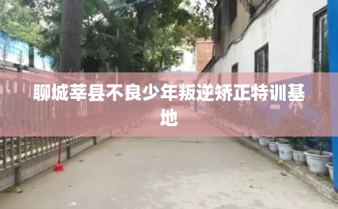聊城莘县不良少年叛逆矫正特训基地