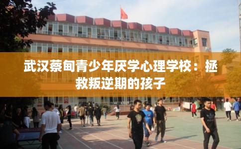 武汉蔡甸青少年厌学心理学校:拯救叛逆期的孩子 武汉蔡甸青少年厌学心理学校:拯救叛逆期的孩子