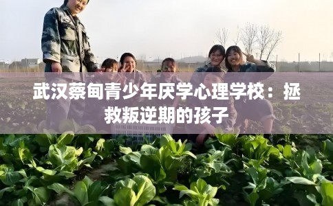 武汉蔡甸青少年厌学心理学校：拯救叛逆期的孩子