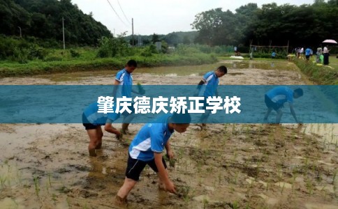 肇庆德庆矫正学校
