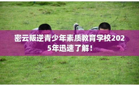 密云叛逆青少年素质教育学校2025年迅速了解！