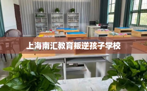上海南汇教育叛逆孩子学校