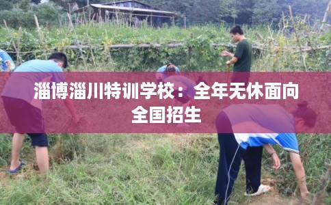 淄博淄川特训学校：全年无休面向全国招生