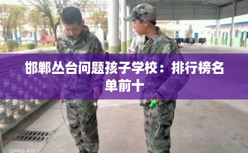 邯郸丛台问题孩子学校：排行榜名单前十