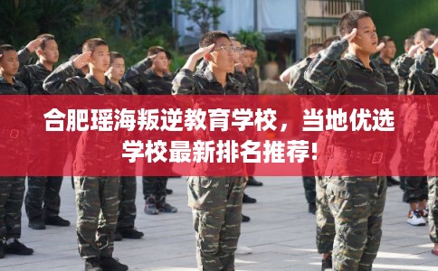 合肥瑶海叛逆教育学校，当地优选学校最新排名推荐!