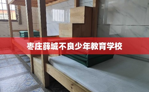 枣庄薛城不良少年教育学校
