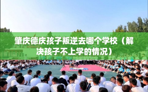 肇庆德庆孩子叛逆去哪个学校（解决孩子不上学的情况）