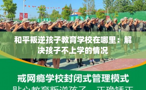 和平叛逆孩子教育学校在哪里：解决孩子不上学的情况