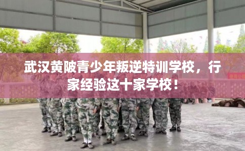 武汉黄陂青少年叛逆特训学校，行家经验这十家学校！