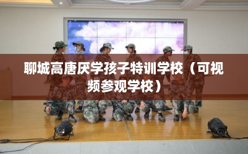 聊城高唐厌学孩子特训学校（可视频参观学校）