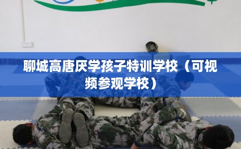 聊城高唐厌学孩子特训学校（可视频参观学校）
