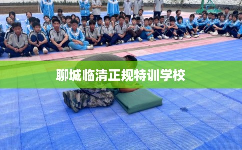 聊城临清正规特训学校