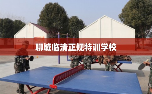 聊城临清正规特训学校
