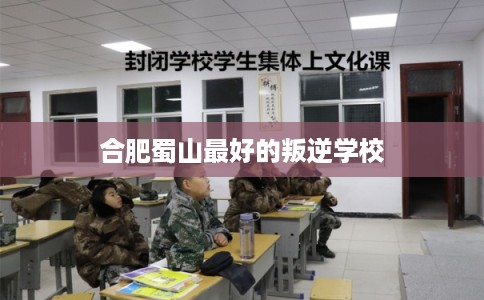 合肥蜀山最好的叛逆学校