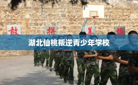 湖北仙桃叛逆青少年学校