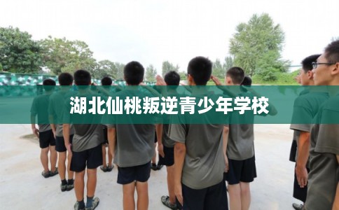 湖北仙桃叛逆青少年学校