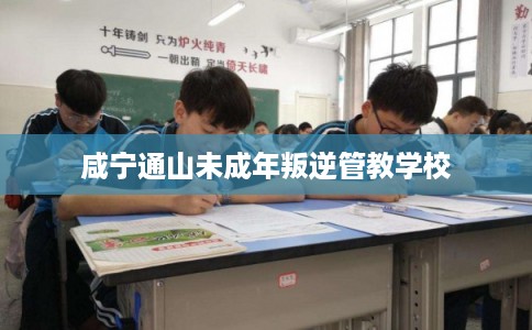 咸宁通山未成年叛逆管教学校