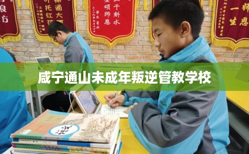 咸宁通山未成年叛逆管教学校