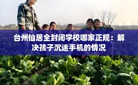 台州仙居全封闭学校哪家正规：解决孩子沉迷手机的情况