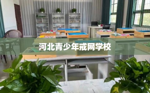 河北青少年戒网学校