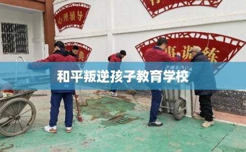 和平叛逆孩子教育学校