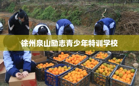 徐州泉山励志青少年特训学校