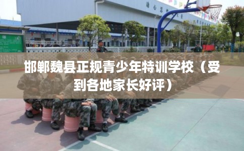 邯郸魏县正规青少年特训学校(受到各地家长好评) 邯郸魏县正规青少年特训学校(受到各地家长好评)