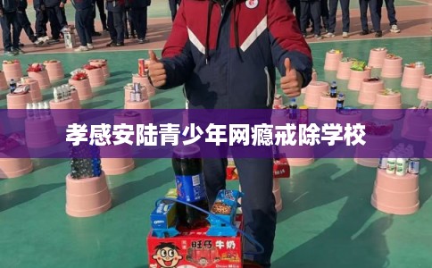 孝感安陆青少年网瘾戒除学校