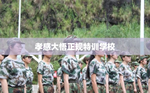 孝感大悟正规特训学校 孝感大悟正规特训学校