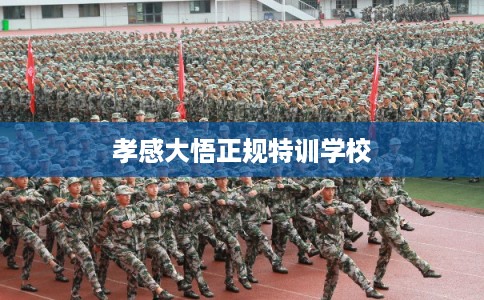 孝感大悟正规特训学校 孝感大悟正规特训学校