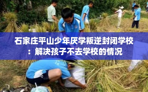 石家庄平山少年厌学叛逆封闭学校：解决孩子不去学校的情况
