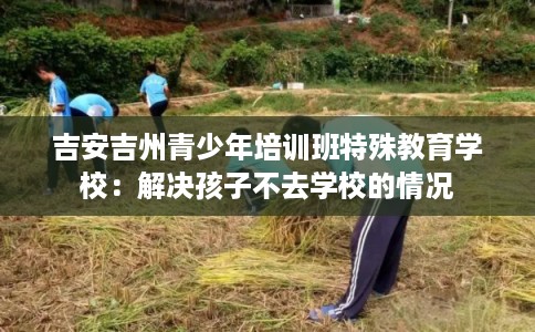 吉安吉州青少年培训班特殊教育学校：解决孩子不去学校的情况