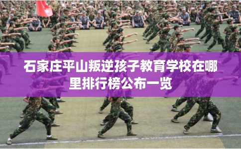 石家庄平山叛逆孩子教育学校在哪里排行榜公布一览