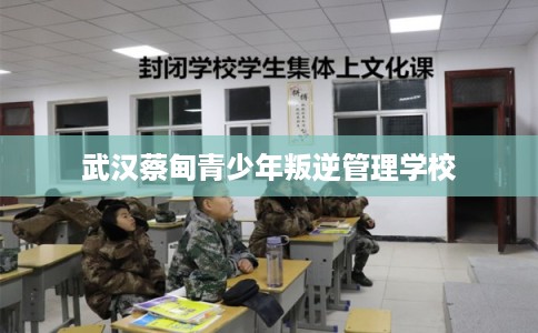 武汉蔡甸青少年叛逆管理学校