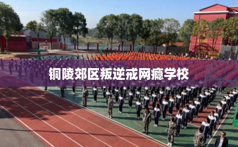 铜陵郊区叛逆戒网瘾学校