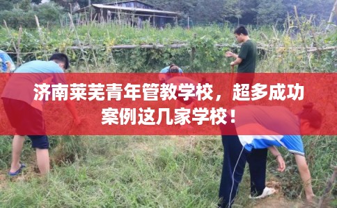 济南莱芜青年管教学校，超多成功案例这几家学校！