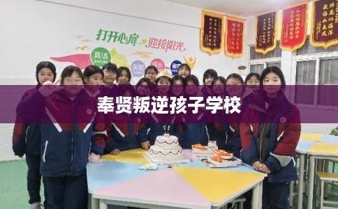奉贤叛逆孩子学校 奉贤叛逆孩子学校