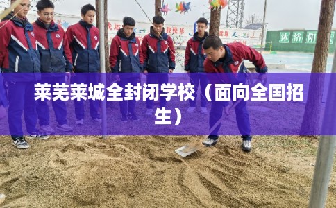 莱芜莱城全封闭学校（面向全国招生）