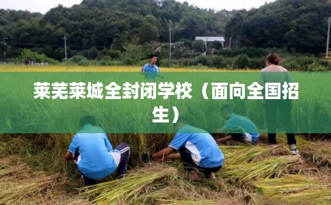 莱芜莱城全封闭学校（面向全国招生）