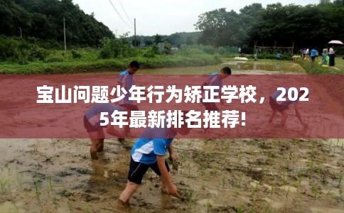 宝山问题少年行为矫正学校，2025年最新排名推荐!