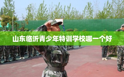 山东临沂青少年特训学校哪一个好 山东临沂青少年特训学校哪一个好