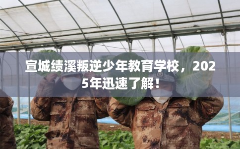 宣城绩溪叛逆少年教育学校，2025年迅速了解！