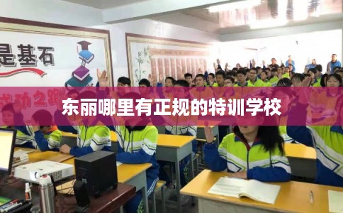 东丽哪里有正规的特训学校