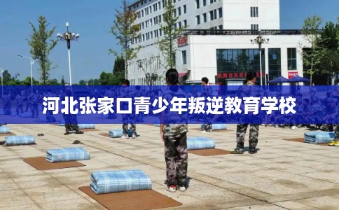河北张家口青少年叛逆教育学校