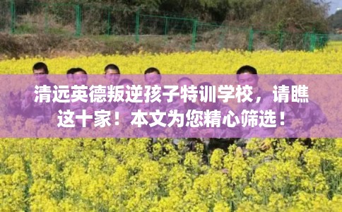 清远英德叛逆孩子特训学校，请瞧这十家！本文为您精心筛选！