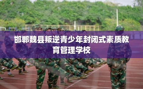 邯郸魏县叛逆青少年封闭式素质教育管理学校 邯郸魏县叛逆青少年封闭式素质教育管理学校