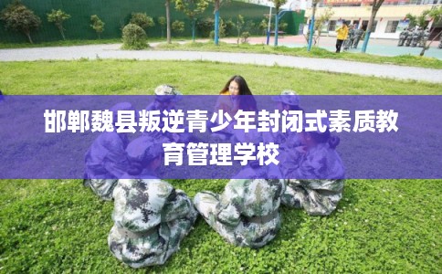 邯郸魏县叛逆青少年封闭式素质教育管理学校 邯郸魏县叛逆青少年封闭式素质教育管理学校