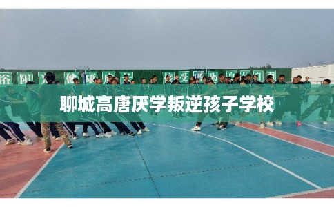 聊城高唐厌学叛逆孩子学校 聊城高唐厌学叛逆孩子学校